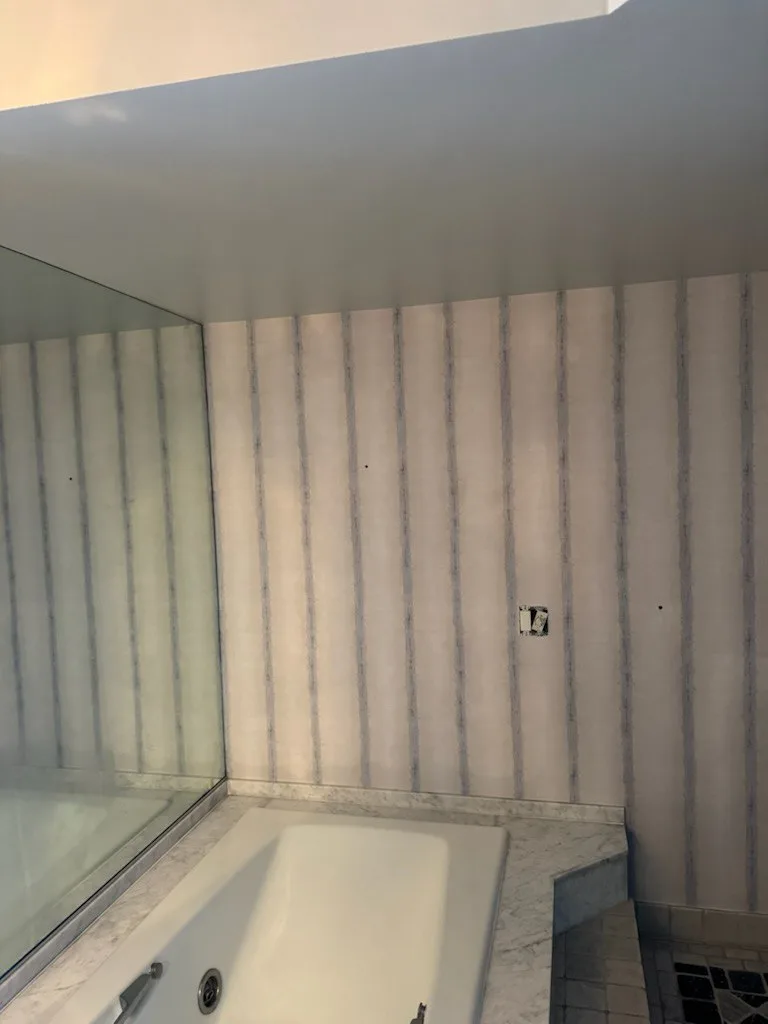 Wallpaper project in Lake View